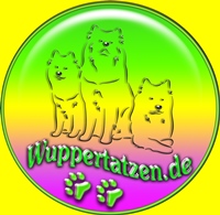 wuppertatzen.de